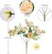 4-Pack Champagne Artificial Peony Bouquets - 12.6" Silk Flower Bunches with Berries and Greenery - Realistic Faux Peonies for Wedding Centerpieces, Home Decor, and DIY Floral Arrangements